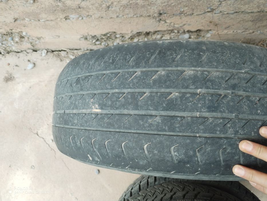 Шины летние  Traingle