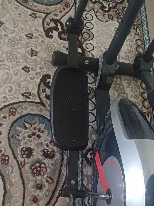 Tirnajor velik 2026yilda olingan