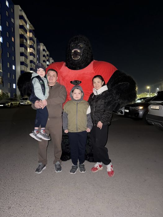 Белый мишка и Горилла