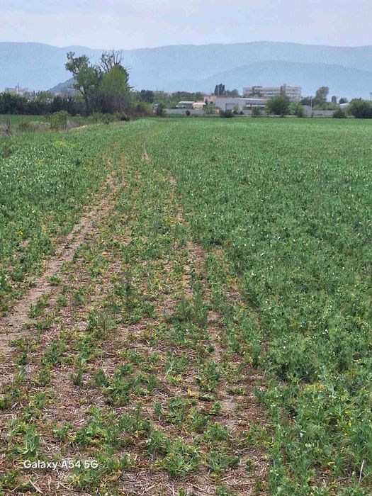 Продава се Парцел в Пловдив, Индустриална зона - Север - 7962 кв.м за 19 €/кв.м - Снимка #6