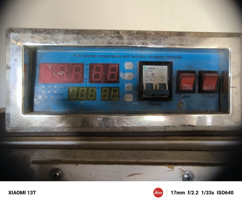 Инкубатор. 2000шт