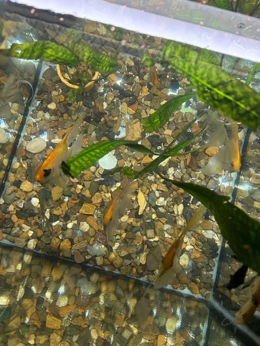 Продам новый аквариум 150 л.