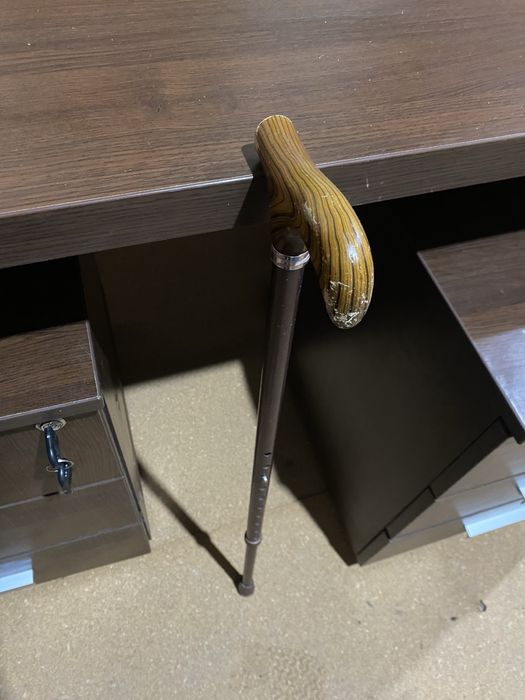 Baston telescopic batrani