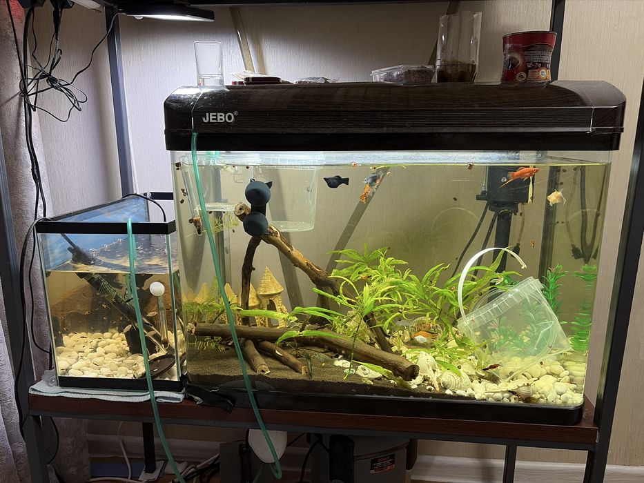 Продам два аквариума со стойкой