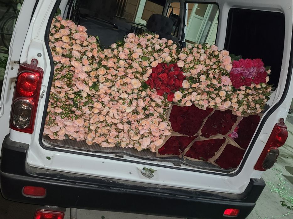 Атргул оптом гарантия