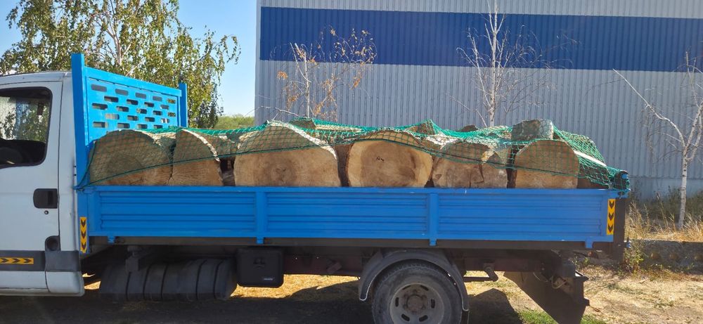 Lemne de foc PLOP 250 lei/metru ster