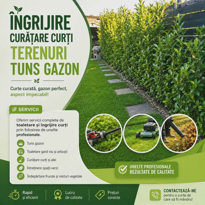 Ofer servicii toaletare curti