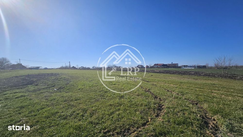 Loturi de Casa pe malul Lacului Creata, Dascalu – 460 mp + Drum serv