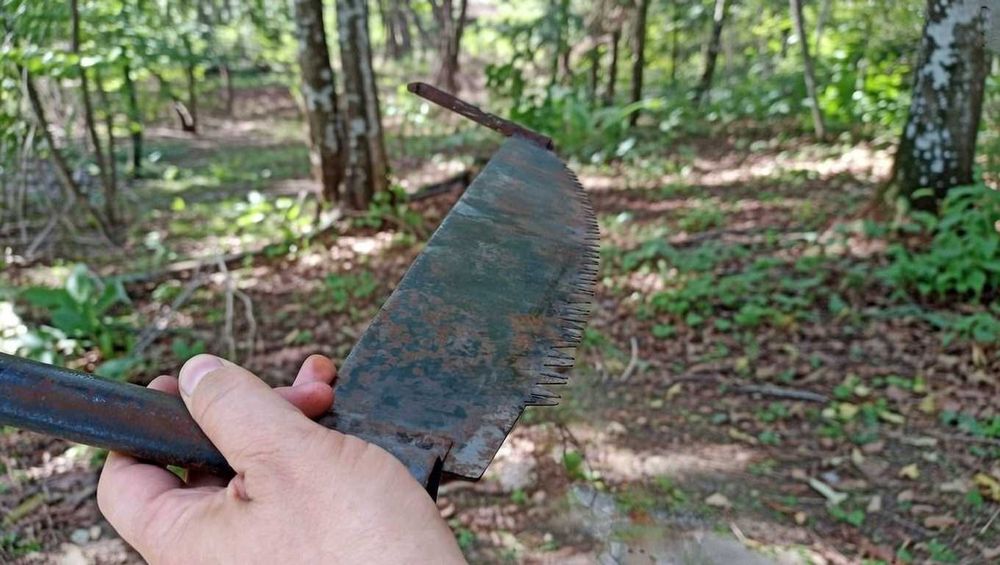 Пила дружба ссср.