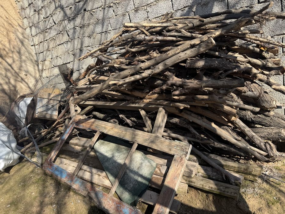 Буу ағаш терезелер тегін отын