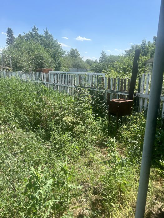 Продам дачу сад «Здоровье»