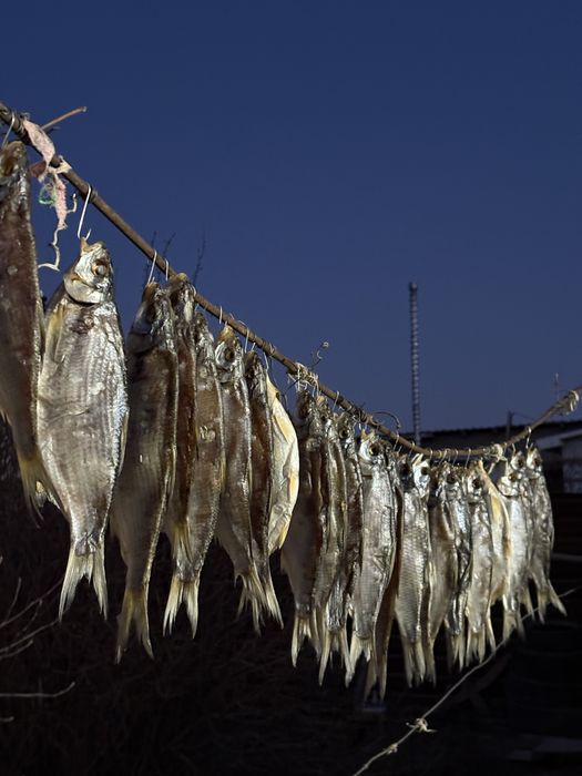 Рыба «Рыбец».