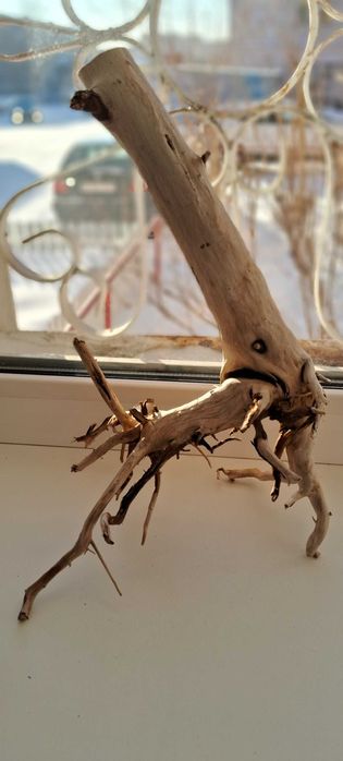 Коряги для аквариума