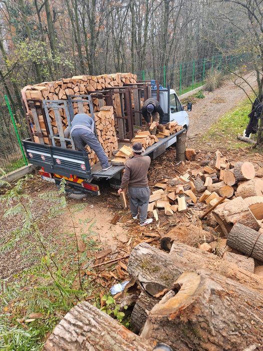 Lemne de foc stejar fag salcâm