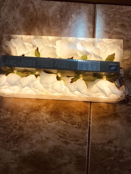 Ghirlanda luminoasa Led