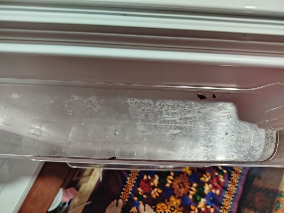 Музлатгич BERG ва дазмол FHILIPS сотилади