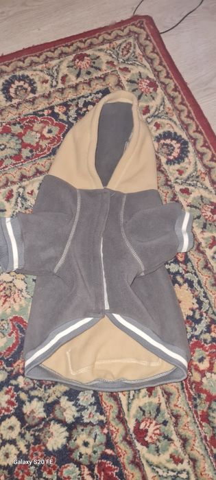 Нагръдник за куче Carinura /М/