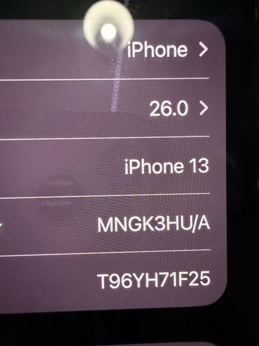 iPhone 13 alpine green