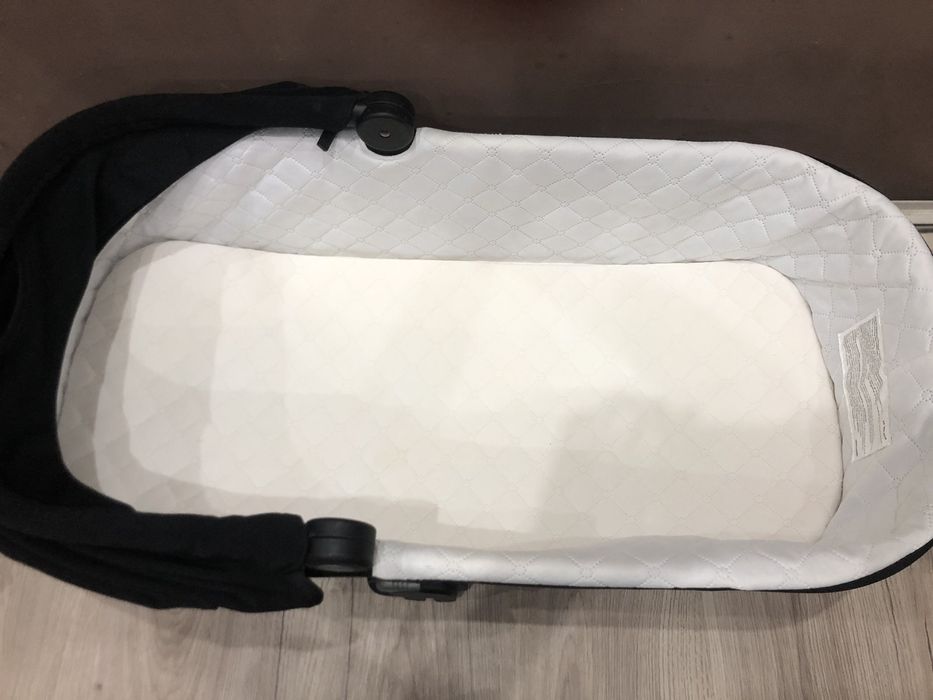 Chipolino Elit gold series