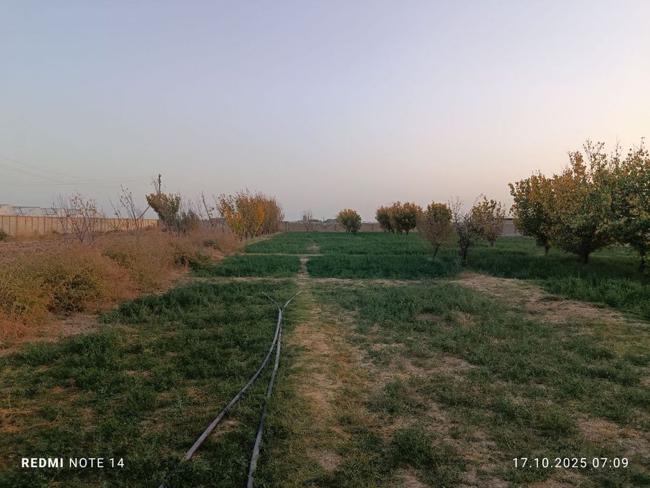 Yer sotiladi 12 sotix