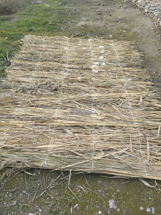 Lombozga Qamich Somon Tegirmon Somon gul suvoq