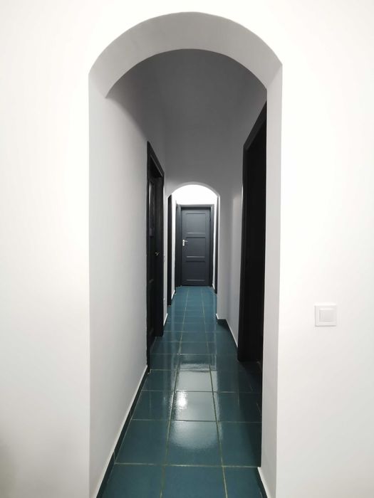 Dristor 3 Camere Renovat La Curte