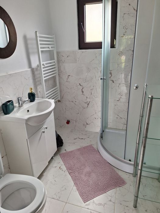 Cabana de inchiriat  . CASA MARA ocupată de revelion