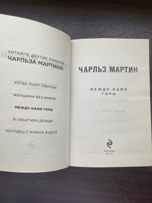 Между нами горы (роман)