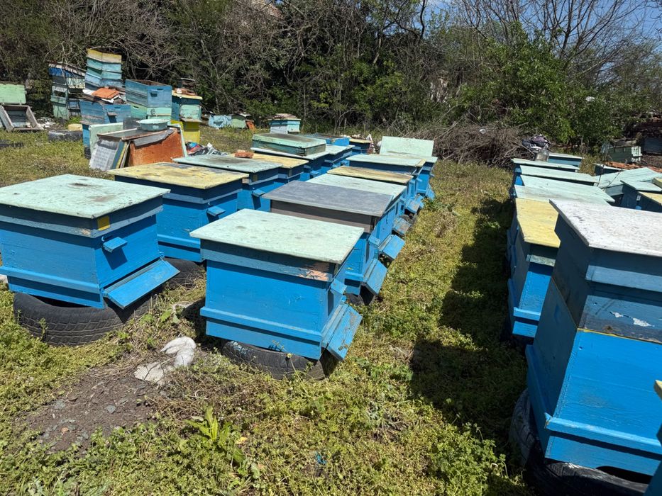 Кошери 10 рамкови Дадан блат/втора ръка-запазени/