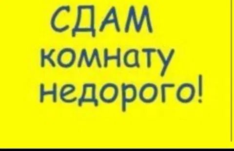 Ищу соседа-мужчину