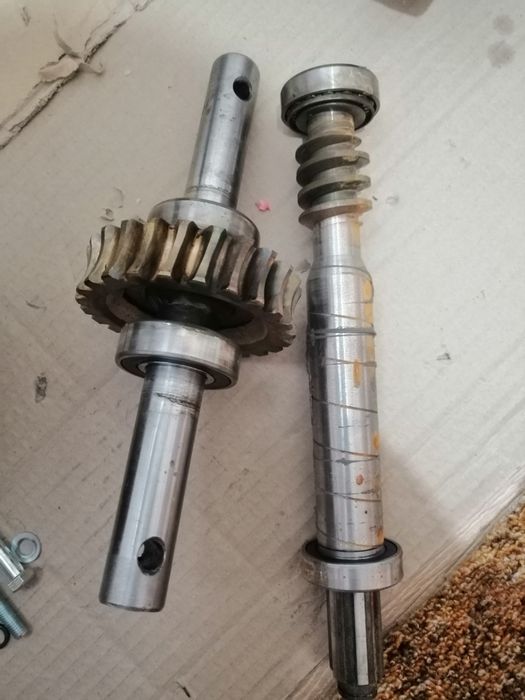 Roata melcata și Ax melcat dragon, bronto, ruris