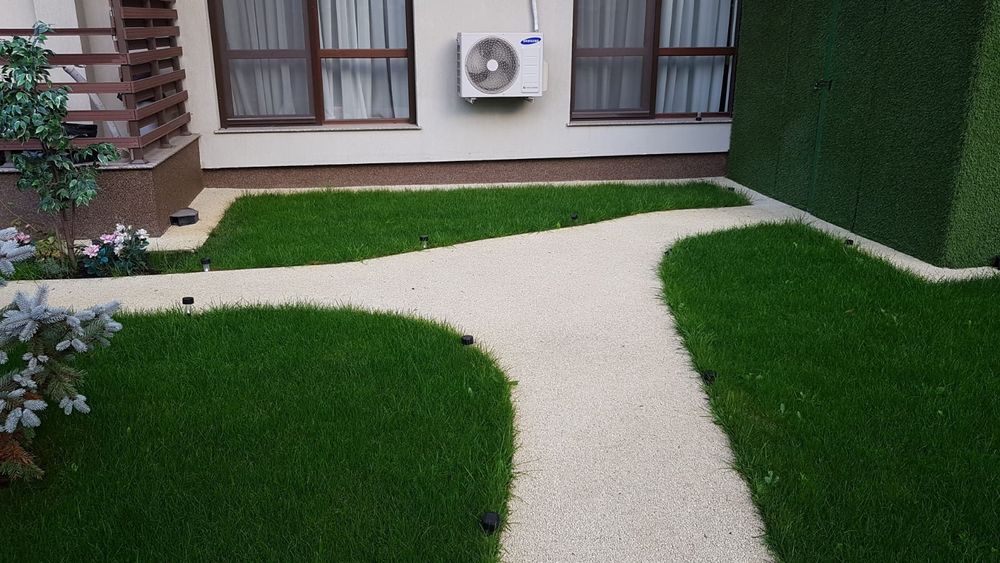 Fericirea la mp gazon tuia plante ptr gradina