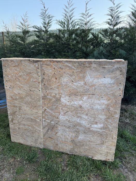 Vand cusca pentru caini