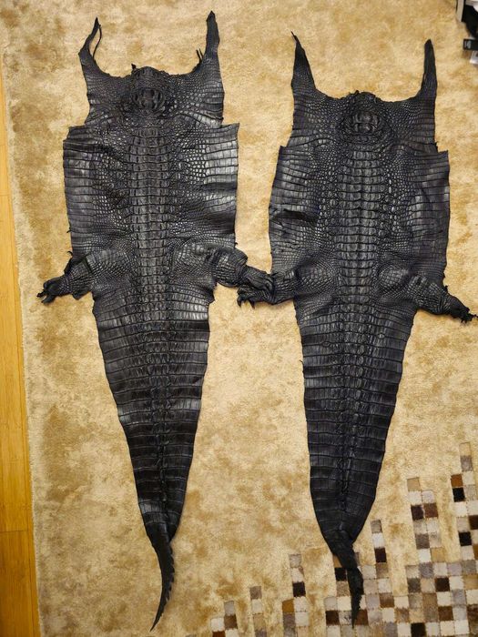 2 bucati Piele crocodil autentica, 125x50cm