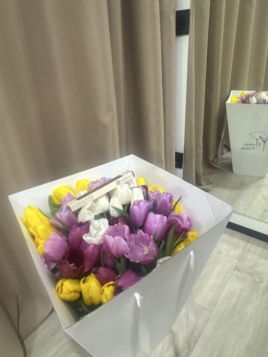 51 один голландский тюльпан