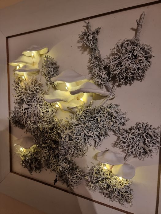 Tablou cu licheni si ciuperci din lut iluminate