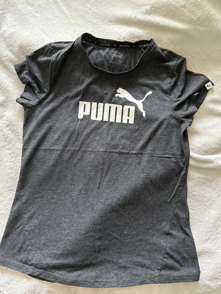 Puma dry shop fit