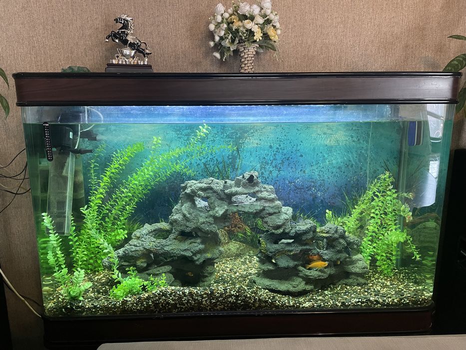 Продам аквариум 400 л с рыбками