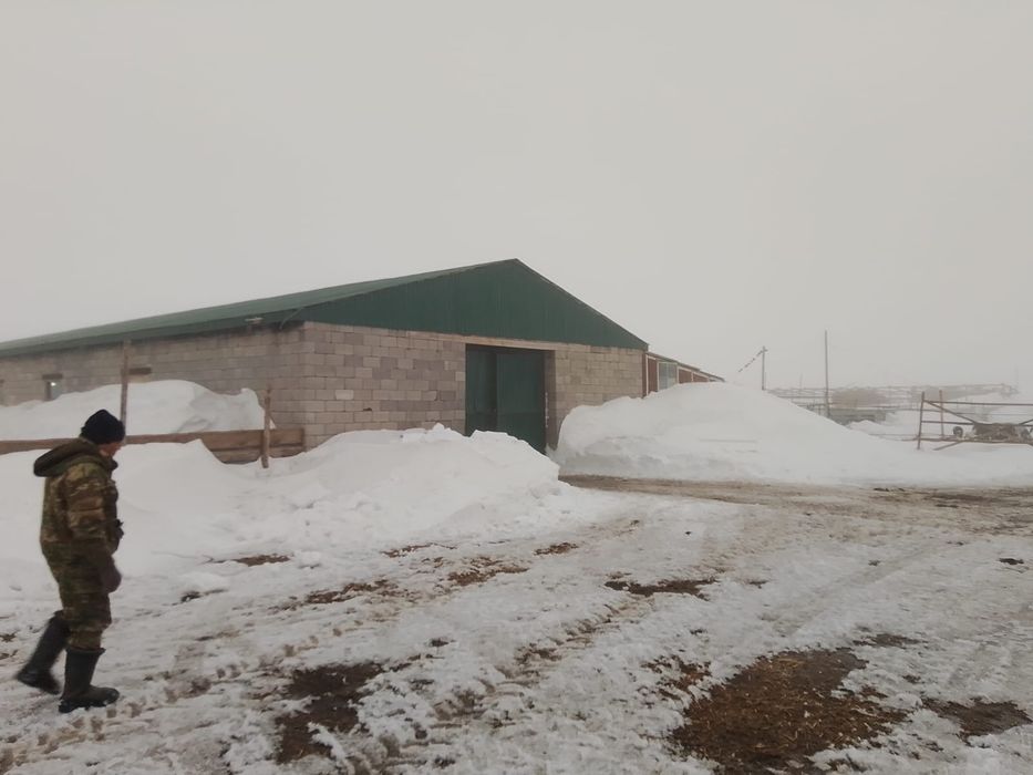 Продам крестьянское хозяйство