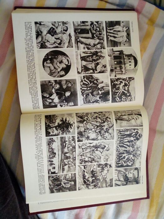 Руска цветна енциклопедия 31 тома