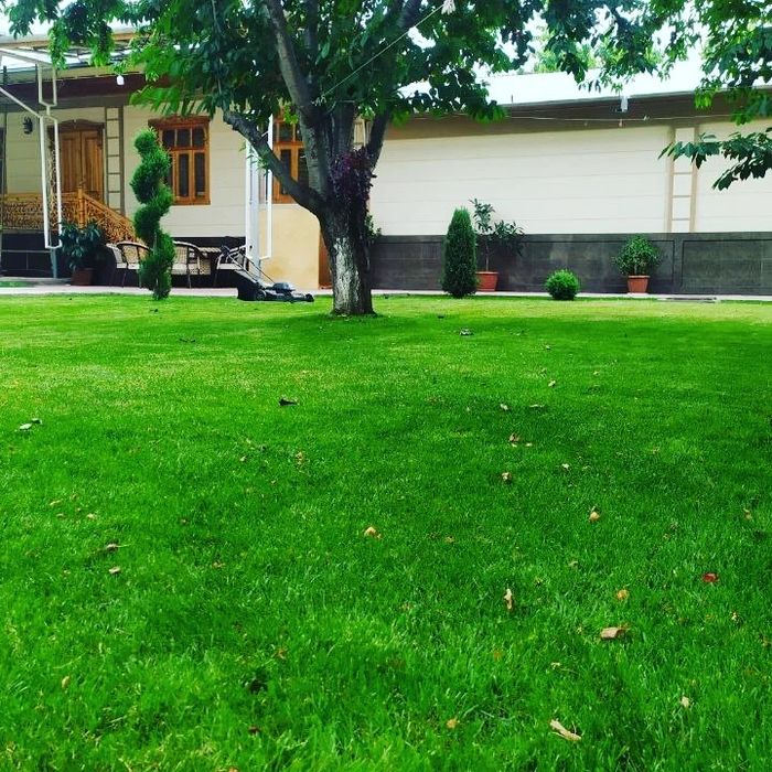 Газон екиш хизмати