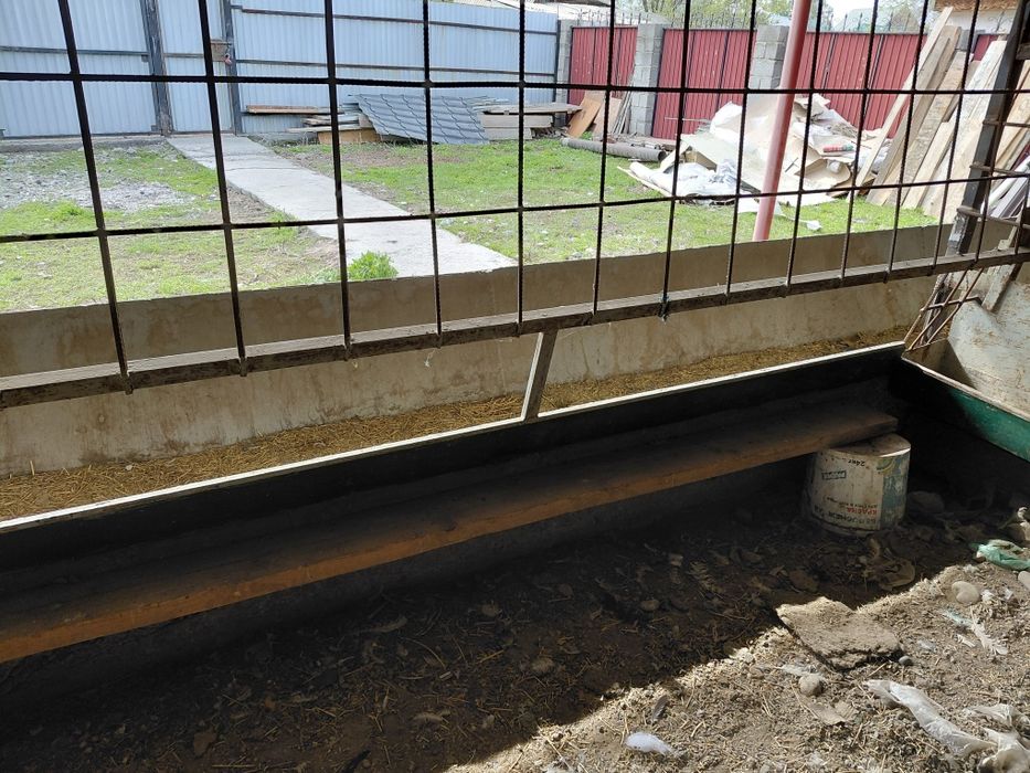 Кормушка для скота