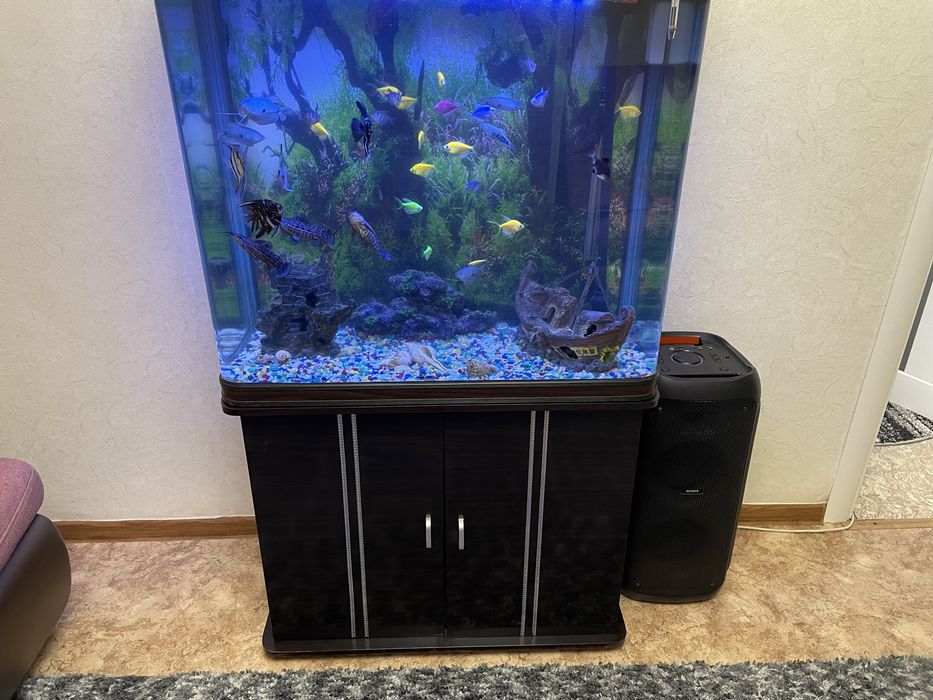 Аквариум вместе с рыбками и тумбочкой