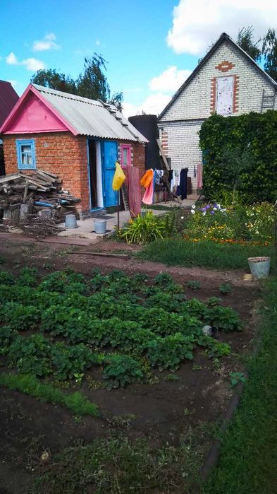 Продаётся дача, пос. Новенький, кооператив "Берёзка"