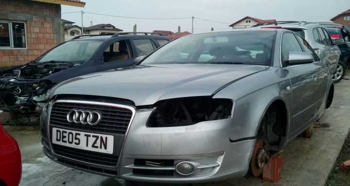 Broasca usa fata stanga 8E1837015AA 8E1837015AA Audi A4 B7