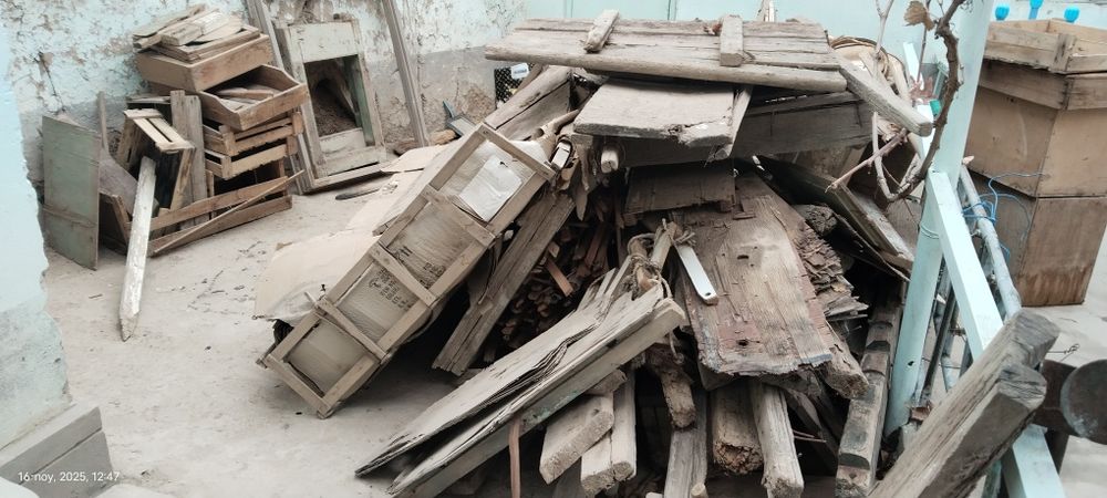 Oʻtin bor arzonga beramiz bemanlol xammasi 1moshina liq toladi