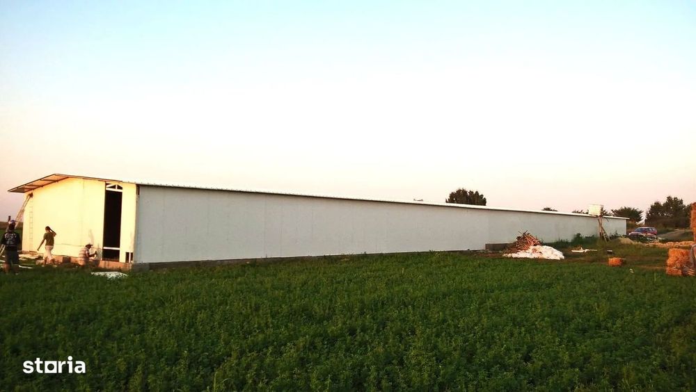 Ferma de gaini ouatoare in sistem free-range | 45.000 mp teren