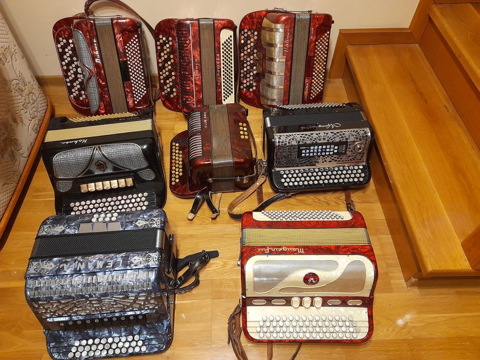 Armonica/Acordeon/Harmonica cu butoane