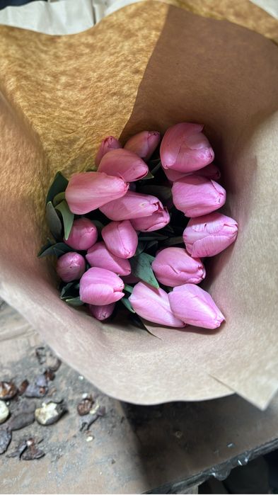 Тюлпаны оптом алматы