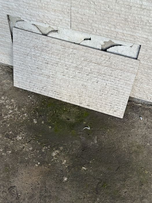 Гратитогрес реалонда